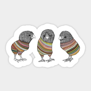 Baby Chicken Knit Sticker